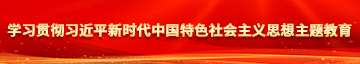 大鸡吧艹逼视频学习贯彻习近平新时代中国特色社会主义思想主题教育